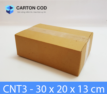 Thùng Carton 3 Lớp — 30 × 20 × 13 cm