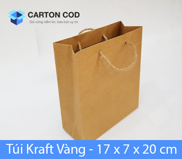 Túi giấy kraft — ảnh 2