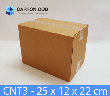Thùng Carton 3 Lớp — 25 × 12 × 22 cm