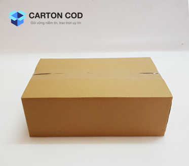Thùng Carton 3 Lớp — ảnh 2