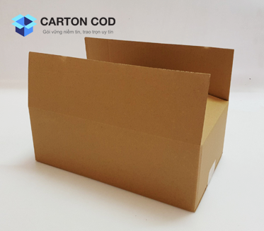 Thùng Carton 3 Lớp — ảnh 3