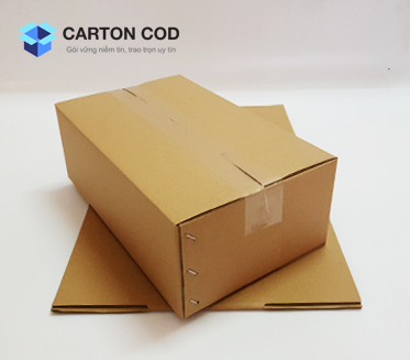 Thùng Carton 3 Lớp — ảnh 4