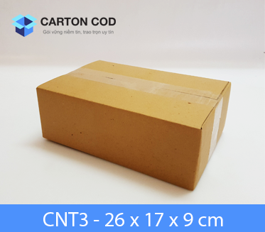 Thùng Carton 3 Lớp — 26 × 17 × 09 cm