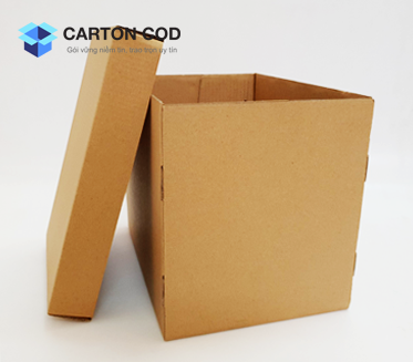 Thùng Carton Hồ Sơ — ảnh 2