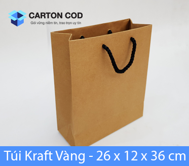 Túi giấy kraft — ảnh 2